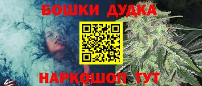 стаф Ставрополь