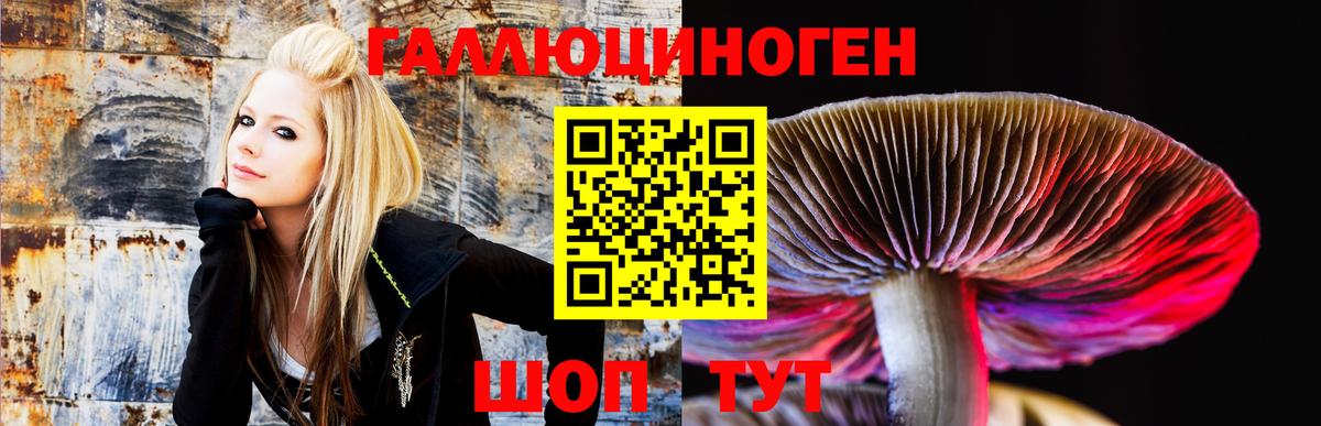 Галлюциногенные грибы прущие грибы  Вход с VPN  Октябрьский 