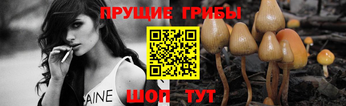 Псилоцибиновые грибы GOLDEN TEACHER Октябрьский